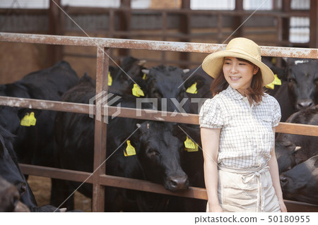 Women working in a cowshed Women working in a cowshed 50180955