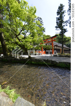 Ogawa if Kamigamo Shrine 50181505