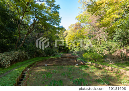 Meiji Shrine Imperial Garden Meiji Shrine Imperial Garden 50181608