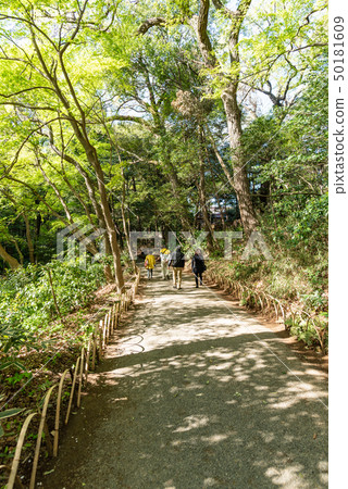明治神宮皇家園林 明治神宮皇家園林 50181609