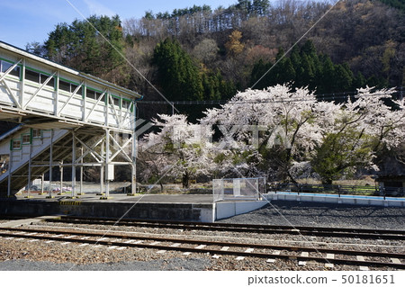 Local Line Station Local Line Station 50181651