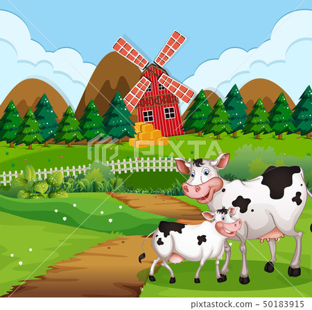 Cow in farmland scene 50183915