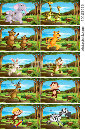 Set of animals in nature scenes Set of animals in nature scenes 50183916