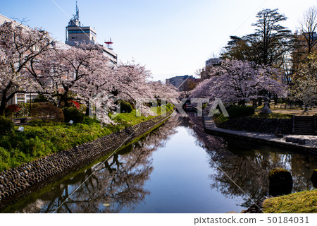 Scenery of Toyama city From the row of cherry blossom trees of Matsukawa from the Seventy Two Peak Bridge 2010.04 b-1 Scenery of Toyama city From the row of cherry blossom trees of Matsukawa from the Seventy Two Peak Bridge 2010.04 b-1 50184031