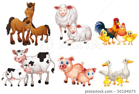 Set of farm animal 50184073