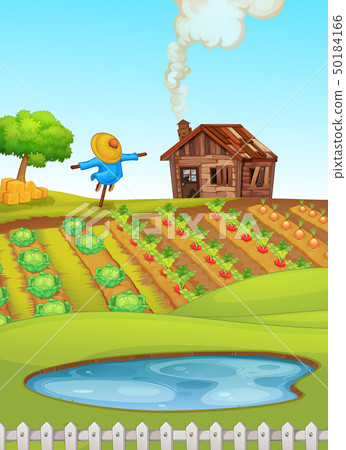 Farm scene with pond in foreground and crops in Farm scene with pond in foreground and crops in 50184166