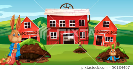 Rabbit at the farmland 50184407