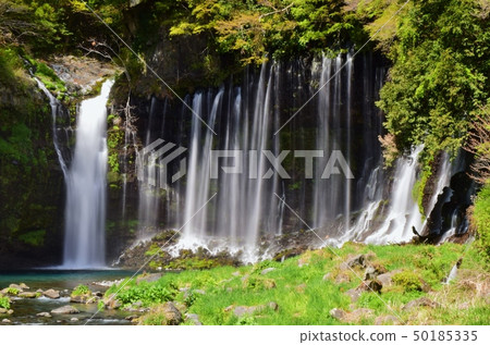Shiraito Waterfall / Fujinomiya City early summer scenery 50185335