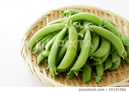 豌豆 50185366