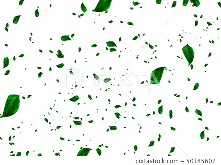 葉子散開 50185602