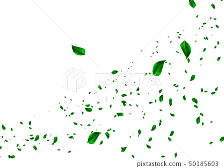 The leaves scatter 50185603