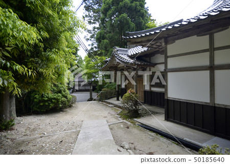 Hieizan Anchoji Tani Hieizan Anchoji Tani 50185640