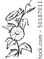 牽牛花/晚上的臉插圖 50187011