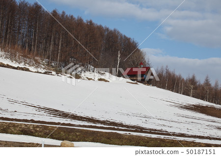 Snowy hill _ Furano 50187151