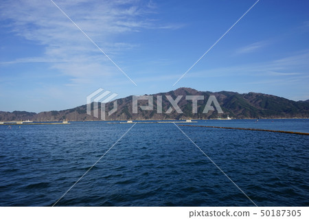 Miyako Bay Fish Market Miyako Bay Fish Market 50187305