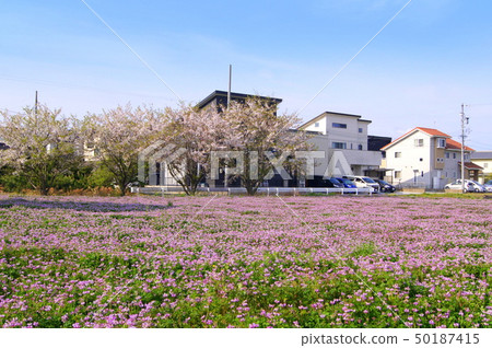 Lenge field 50187415