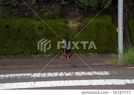 Waiting for signal 50187571