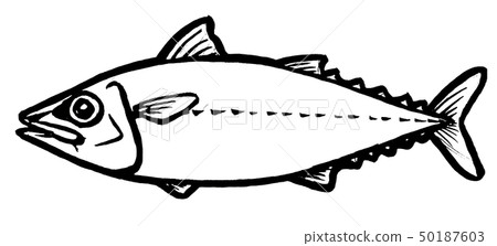 鯖魚插圖 鯖魚插圖 50187603