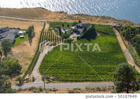Landscape with farmer's house at Okanagan lake on sunny summer day Landscape with farmer's house at Okanagan lake on sunny summer day 50187649