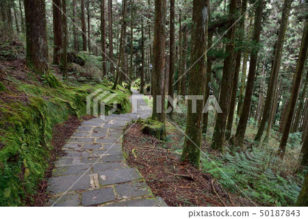 步道 50187843