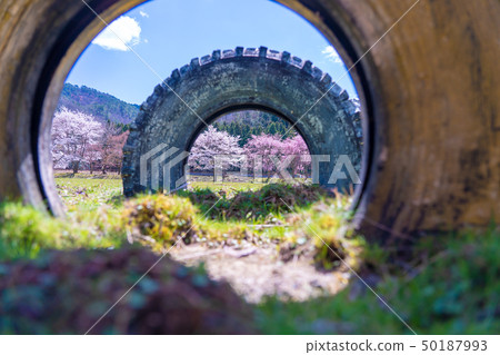 Also taken a photo of former Okukamibayashi elementary school in Kyoto Prefecture Ayabe city that is being used as a training center 50187993