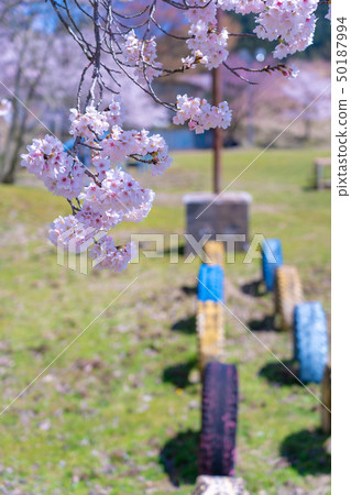 Also taken a photo of former Okukamibayashi elementary school in Kyoto Prefecture Ayabe city that is being used as a training center 50187994