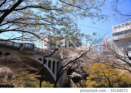 Oon Spring Otonashi River water park cherry blossoms Oon Spring Otonashi River water park cherry blossoms 50188072