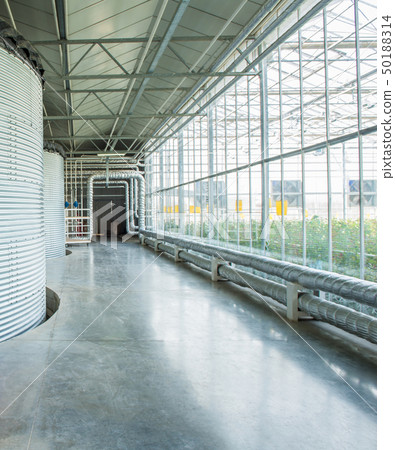 the interior and equipment of a greenhouse the interior and equipment of a greenhouse 50188314