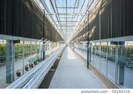 the interior of the greenhouse the interior of the greenhouse 50188316