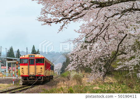火車和櫻花上野寺站 火車和櫻花上野寺站 50190411