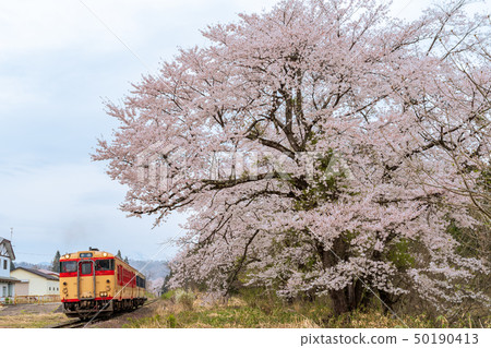 火車和櫻花上野寺站 火車和櫻花上野寺站 50190413