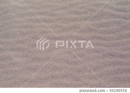 沙 沙 50190558