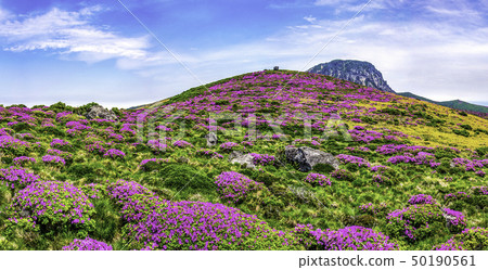 漢拿山 漢拿山 50190561