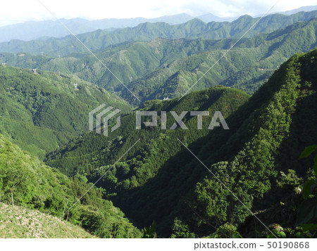 深綠色的山谷 深綠色的山谷 50190868
