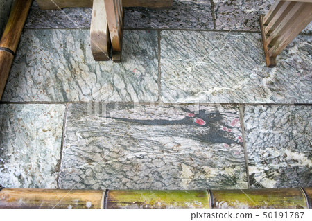 Ryujin who appeared in the hall of worship at Mitsumine Shrine, Mitsumine, Chichibu City 50191787