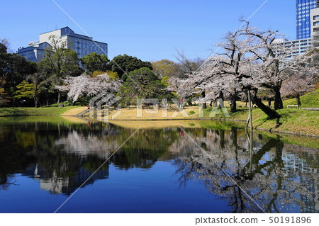 April Koishikawa Korakuen 32 Gardens in full bloom 50191896
