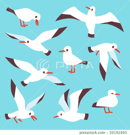 Cartoon atlantic seabird, seagulls flying in blue sky vector set 50192893