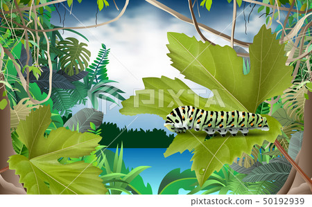 worm, leaves, eat 50192939