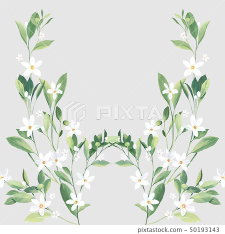 色彩清雅的水彩花和葉子 50193143