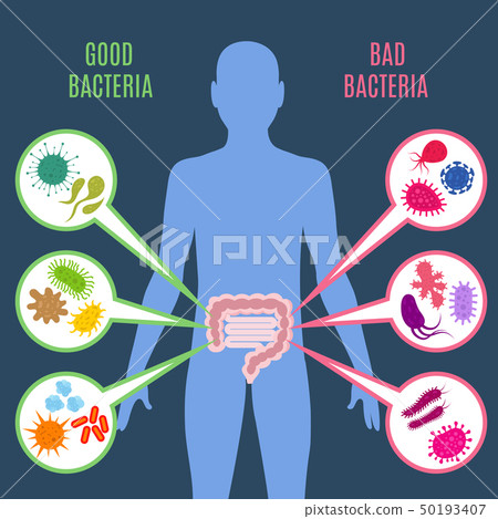 Intestinal flora gut health vector concept with bacteria and probiotics icons 50193407