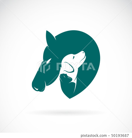 Vector of horse and dog and cat. Pet. Animal. Vector of horse and dog and cat. Pet. Animal. 50193687