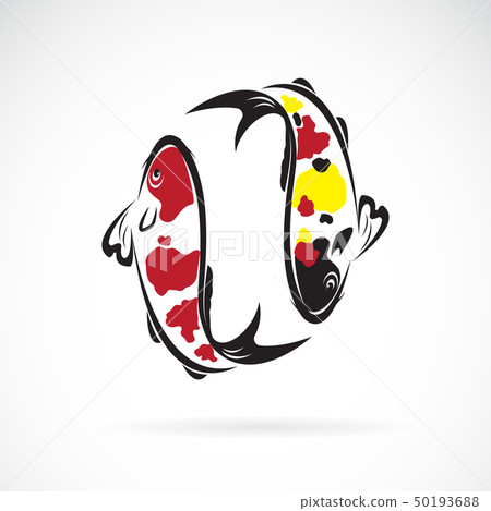 Vector of carp koi fish. Pet. Animal. Icon. 50193688