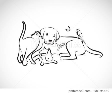 Vector group of pets - Dog, cat, parrot, rabbit, Vector group of pets - Dog, cat, parrot, rabbit, 50193689