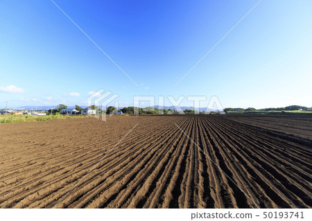 Field (autumn) Field (autumn) 50193741