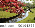 River 50194255