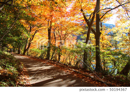 意大利大使館別墅紀念公園（栃木縣，日光市） 50194367