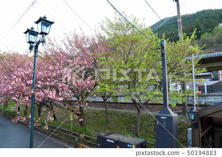 Gero Hot Spring Town (Gifu Prefecture) Gero Hot Spring Town (Gifu Prefecture) 50194883