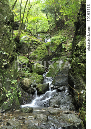 Shiranosawa的Gornoju，Ebinooriyama 50195518