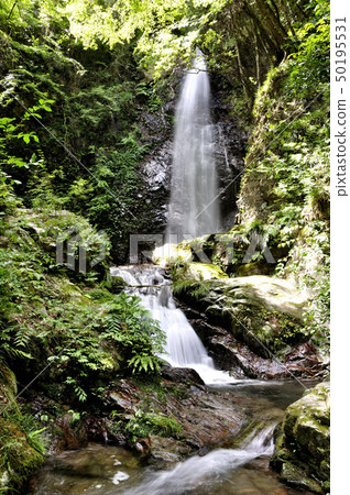 Falls of the summer sweet rainforest Falls of the summer sweet rainforest 50195531