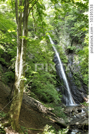 Ogasamura Shiraito Falls 50195538